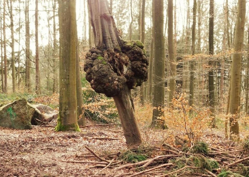 Le Chant De L Aisne Villa Érezée Esterno foto