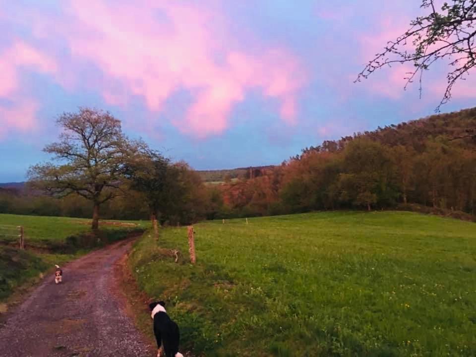 Le Chant De L Aisne Villa Érezée Esterno foto